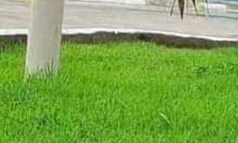 Imagem 3: Casa ã venda em Gravataí, 100 por cento financiada