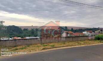 Imagem: TERRENO COMERCIAL/RESIDENCIAL em TIBAGI