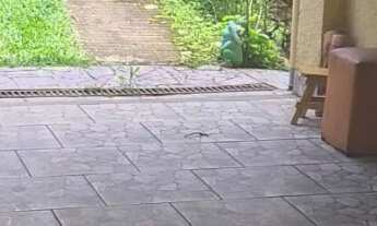 Imagem 4: CASA RESIDENCIAL em NOVA FRIBURGO - RJ, apiario abelhinha