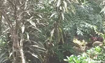 Imagem 6: CASA RESIDENCIAL em NOVA FRIBURGO - RJ, apiario abelhinha