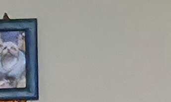 Imagem 6: Cobertura à venda em Itacoatiara, sol da manhã com vista para o verde