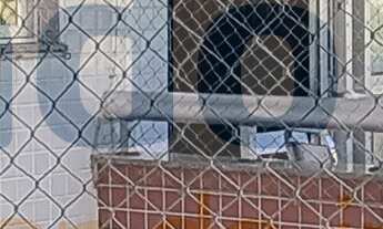 Imagem 2: Apartamento de 3 quartos com suíte e vaga de garagem no bairro Santa Rosa, Niterói-RJ - 10