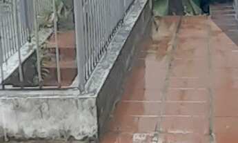 Imagem 6: Casa a venda na Pé Pequeno, 4 quartos