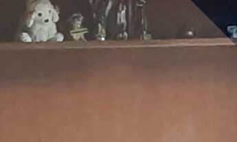 Imagem 7: Apartamento a venda em Santa Rosa, sol da manhã