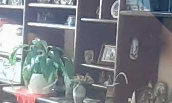 Imagem 3: Apartamento a venda em Santa Rosa, sol da manhã