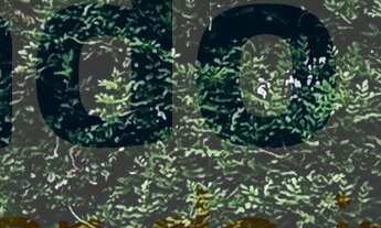 Imagem 2: Imperdível! Casa em condomínio à venda em Niterói-RJ, no bairro Santa Rosa. 3 quartos, 1 s