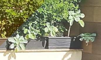 Imagem: Cobertura triplex à venda em Icaraí, 4