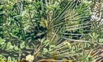 Imagem 3: Imperdível! Casa em condomínio à venda em Niterói-RJ, no bairro Santa Rosa. 3 quartos, 1 s