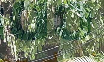 Imagem 6: Casa à venda no Pé Pequeno, com três dormitórios