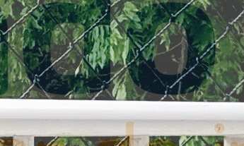 Imagem: Apartamento à venda em Santa Rosa, sol