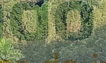 Imagem 2: Cobertura deslumbrante à venda em Icaraí, caracterizada por qualidade e alto padrão