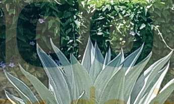 Imagem: Esta magnífica casa à venda em Camboinhas