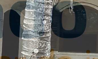 Imagem 3: Esta magnífica casa à venda em Camboinhas, na 1ª quadra da praia