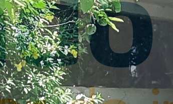 Imagem 2: Esta magnífica casa à venda em Camboinhas, na 1ª quadra da praia