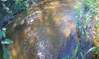 Imagem 2: ÁREA COM 30 MIL METROS EM SÃO JOÃO DO JABOTI