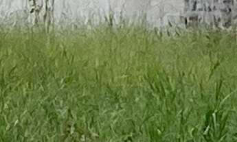 Imagem 4: TERRENO RESIDENCIAL em PIRACICABA - SP, JARDIM ASTÚRIAS I