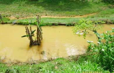 Imagem 5: EXCELENTE CHÁCARA COM LAGO - COD: 2896 - CESAR F:(11) 97302-9229