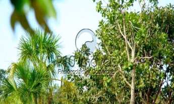 Imagem 6: Fazenda de 4.000 hectares a venda em São Romão Minas Gerais