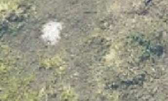 Imagem: Terreno a venda - Terreno com 3.300M² a