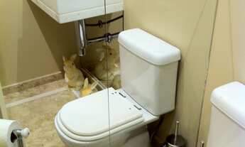 Imagem 5: Apartamento com 04 suítes 04 vagas a venda no Panamby