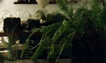 Imagem 4: CASA A VENDA NA CHÁCARA MONTE ALEGRE - Casa com 5 suítes 6 vagas a venda na Chácara Monte