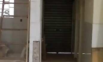 Imagem 4: Casa com 3 dormitórios 7 vagas a venda no Parque Ipê