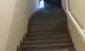 Imagem 7: Casa com 3 dormitórios 7 vagas a venda no Parque Ipê