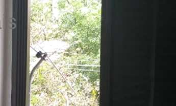 Imagem 7: Apartamento com 3 dormitórios 2 vagas a venda no Panamby