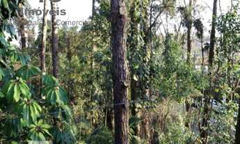 Imagem 3: Casa com 5 dormitórios 3 vagas a venda no Morumbi Sul
