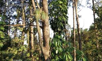 Imagem 7: Casa com 5 dormitórios 3 vagas a venda no Morumbi Sul