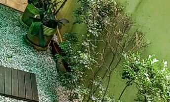 Imagem 3: Casa com 4 dormitórios 4 vagas a venda no Planalto Paulista