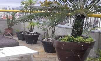 Imagem 6: Cobertura duplex com 4 dormitórios 2 vagas a venda na Chácara Inglesa