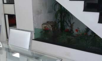 Imagem 2: Apartamento com 3 dormitórios 4 vagas a venda em Perdizes