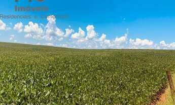 Imagem: Fazendo a venda em Sabáudia -PR