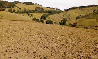 Imagem 3: Vendo chácara excelente em Maria da Fé, sul de Minas, clima da Serra da Mantiqueira, mais