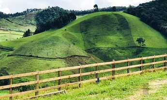 Imagem 6: Vendo chácara excelente em Maria da Fé, sul de Minas, clima da Serra da Mantiqueira, mais