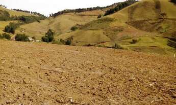 Imagem 7: Vendo chácara excelente em Maria da Fé, sul de Minas, clima da Serra da Mantiqueira, mais