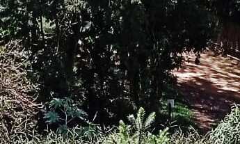 Imagem 1: Venha conhecer este incrível Sítio em Piranguinho MG, com duas casas totalmente equipadas