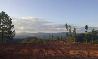 Imagem 4: Vendo terreno espetacular localizado nas terras altas da Mantiqueira, em Delfim Moreira, n
