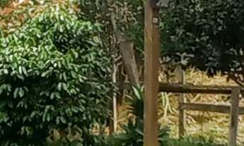 Imagem: Vendo chácara na Água Limpa