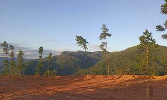 Imagem 5: Vendo terreno espetacular localizado nas terras altas da Mantiqueira, em Delfim Moreira, n