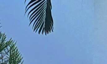 Imagem: Vendo excelente casa na avenida BPS, ideal