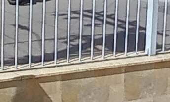 Imagem: Vendo uma ótima casa, espaçosa, ensolarada