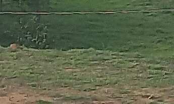 Imagem: Terreno à Venda em Itajubá-MG, Bairro