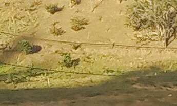 Imagem 3: Terreno à Venda em Itajubá-MG, Bairro Vale das Hortênsias - 220,22 m² de Área!