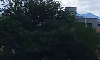 Imagem 7: Apartamento na Melhor Localização de Itajubá - Centro! 2 Quartos, 1 Suíte, 1 Sala, 2 Banhe