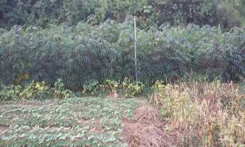 Imagem 5: Vendo área com 10.88.71 ha certificada orgânica desde 2009, com 13 mil pés de café nota 93