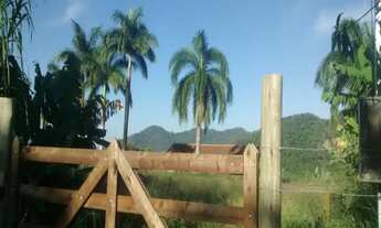 Imagem 7: Vendo área com 10.88.71 ha certificada orgânica desde 2009, com 13 mil pés de café nota 93