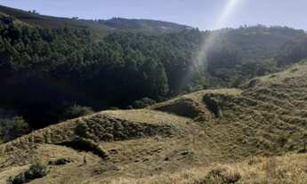 Imagem: Vendo área no bairro Goiabal, divisa com