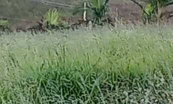 Imagem: Vendo chácara em condomínio fechado em